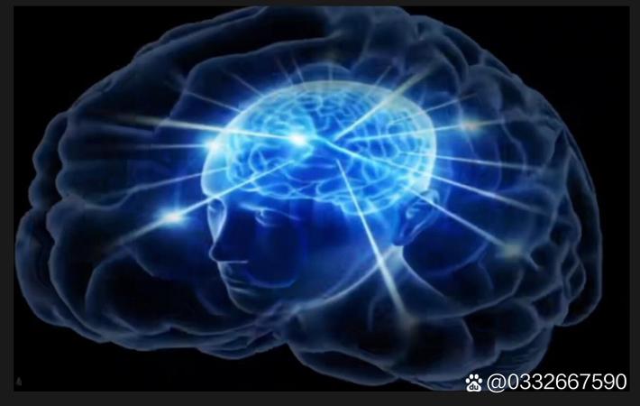 网友来稿：揭秘娱乐圈"陪睡换资源"的灰色产业链